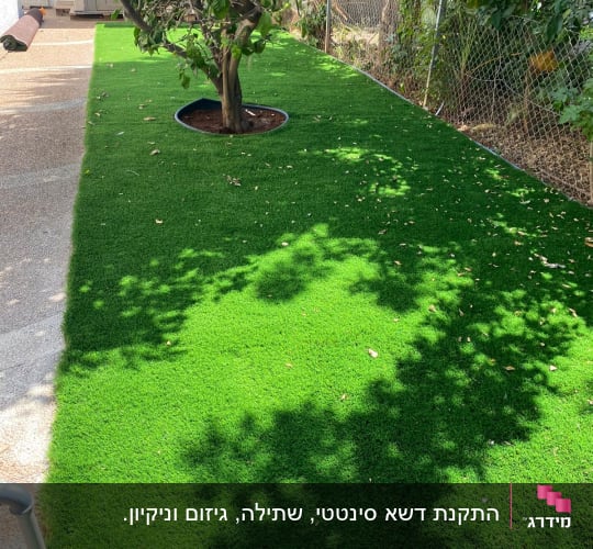 התקנת דשא סינטטי בחצר בית פרטי סביב עץ
